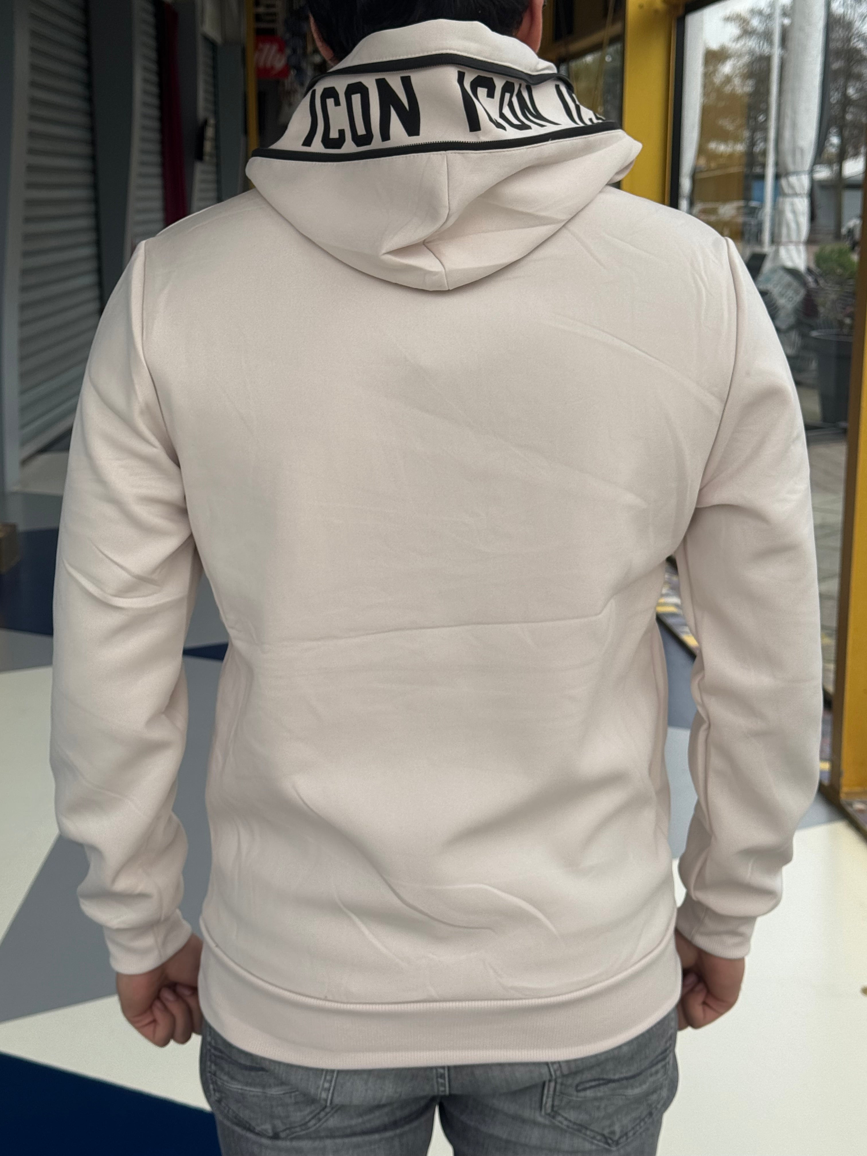 Icon Hoodie  beige  back